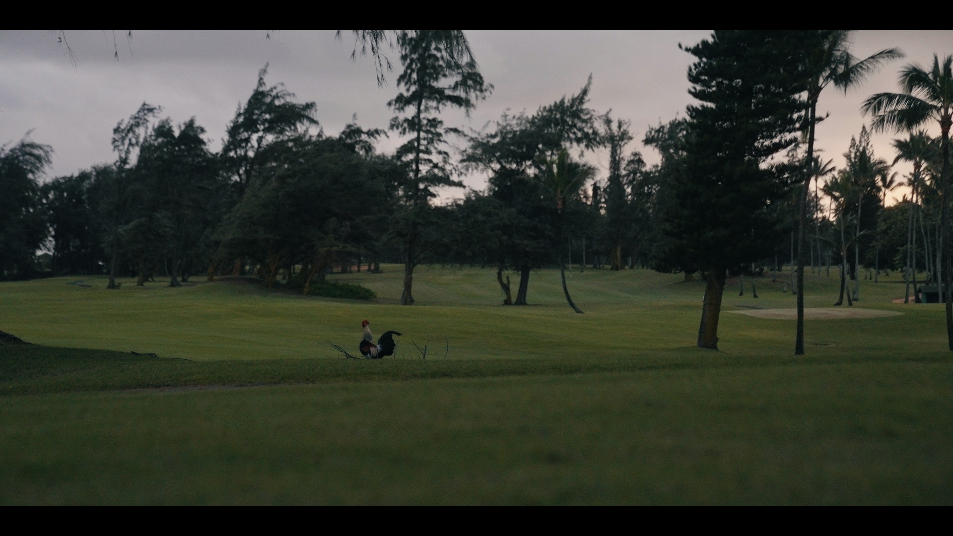 Adventures in Golf — still