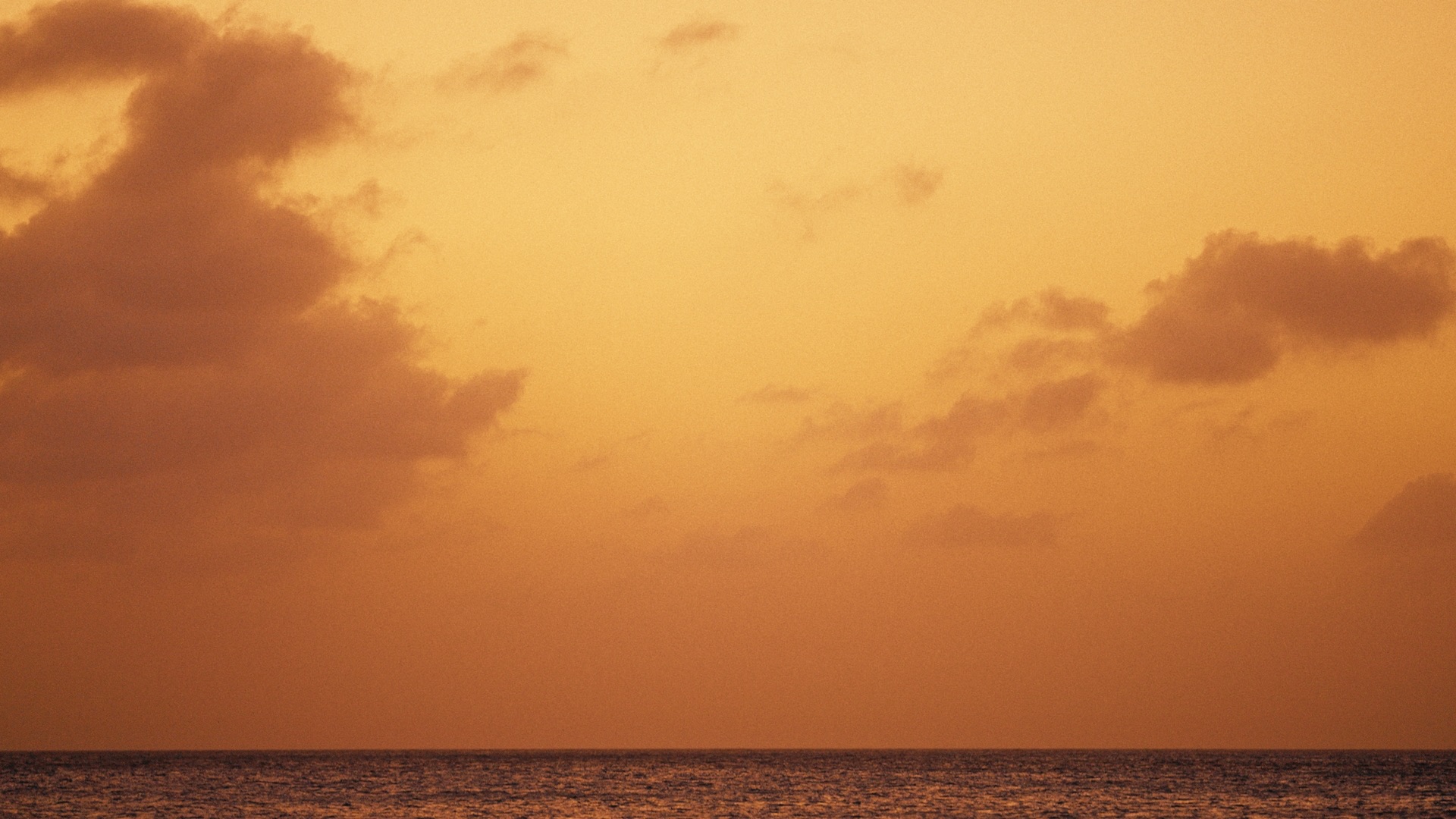 Celebrity Cruises — still 4