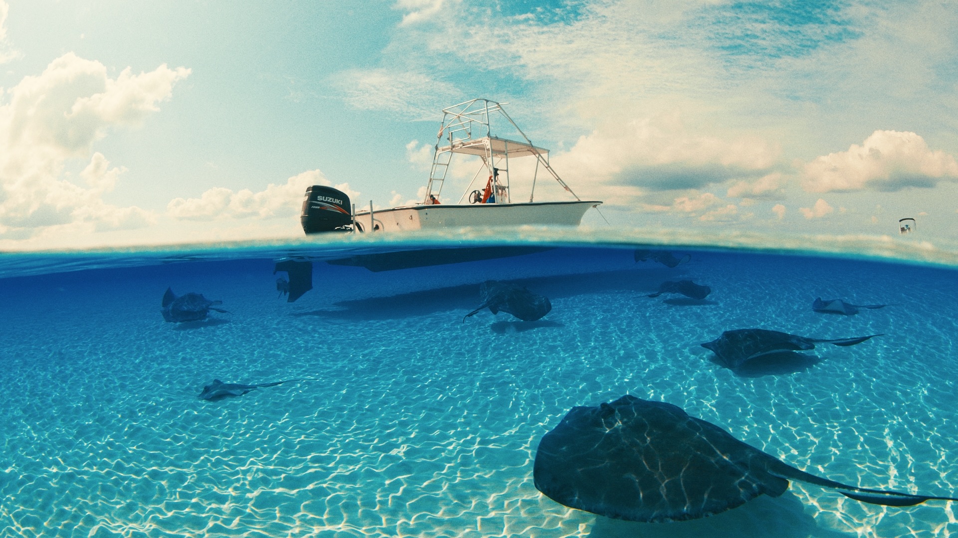 Celebrity Cruises — still 13