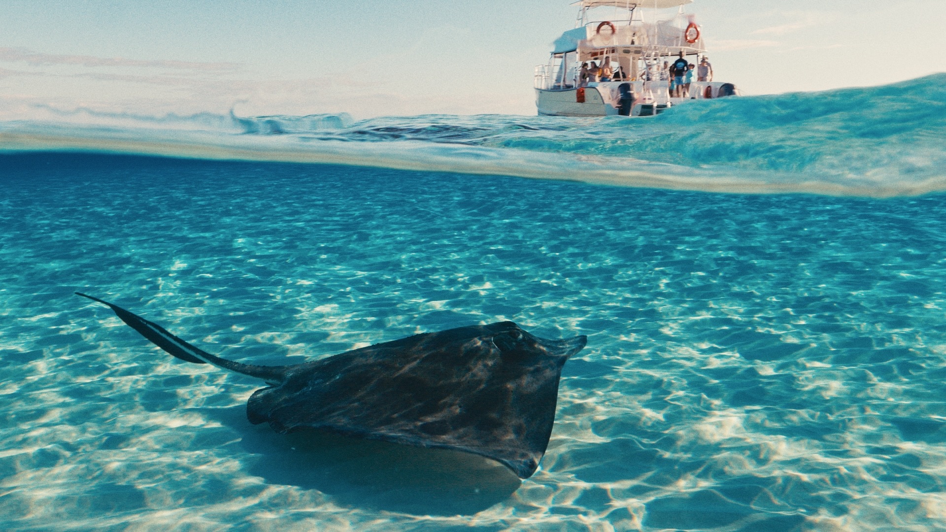 Celebrity Cruises — still 14