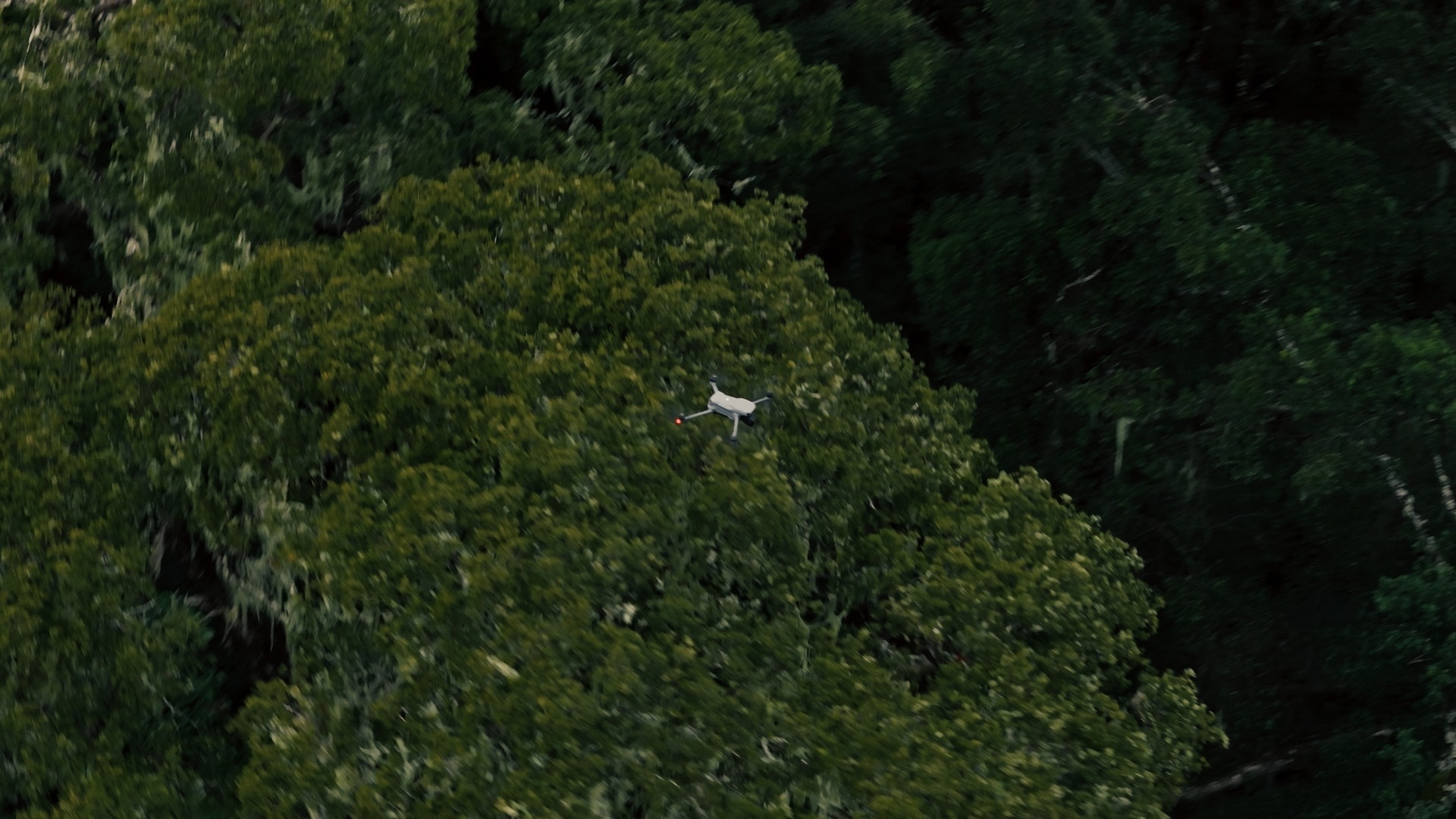 DJI Air — still